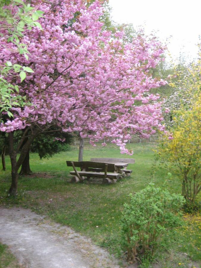 Ferienwohnung Ostseewald Rostock Bagian luar foto