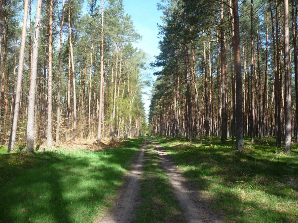 Ferienwohnung Ostseewald Rostock Bagian luar foto
